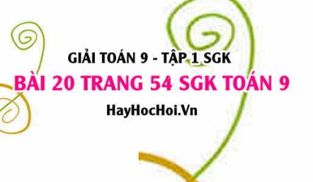 Giải bài 20 trang 54 SGK Toán 9 tập 1